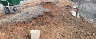 조미숙님의 1월 내 작물 자랑하기 · 참여글 작성글 사진