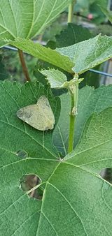 팜모닝 팜모닝·출석 게시글 이미지