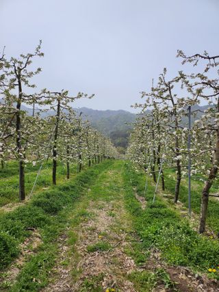 조동용님의 1월 내 작물 자랑하기 · 참여글 작성글 사진