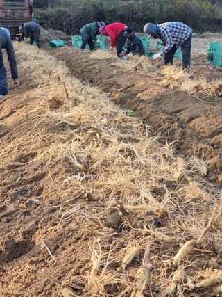 모두팜님의 1월 내 작물 자랑하기 · 참여글 작성글 사진