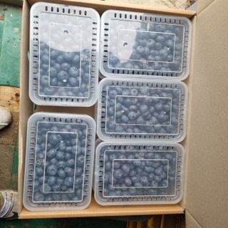 모두팜님의 1월 내 작물 자랑하기 · 참여글 작성글 사진