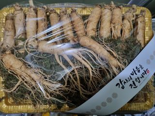 모두팜님의 1월 내 작물 자랑하기 · 참여글 작성글 사진