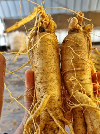 모두팜님의 1월 내 작물 자랑하기 · 참여글 작성글 사진