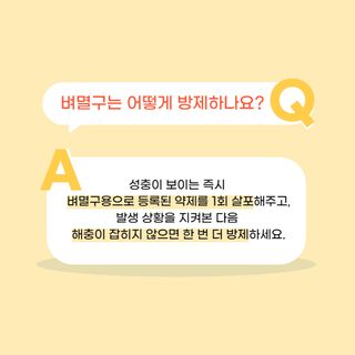 중고농기계님의 벼 · 병해충상담 작성글 사진