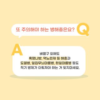 중고농기계님의 벼 · 병해충상담 작성글 사진