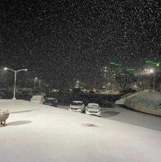 최영환님의 우리동네 · 동네정보 작성글 사진