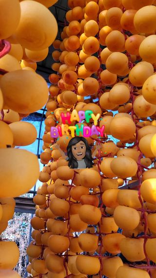 허송범님의 감 · 자유게시판 작성글 사진