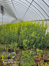 팜모닝 1월 내 작물 자랑하기·참여글 게시글 이미지