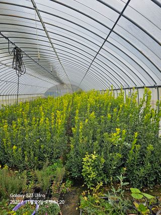 마로니에농원님의 1월 내 작물 자랑하기 · 참여글 작성글 사진