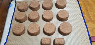 행복한사피님의 자유주제 · 자유게시판 작성글 사진