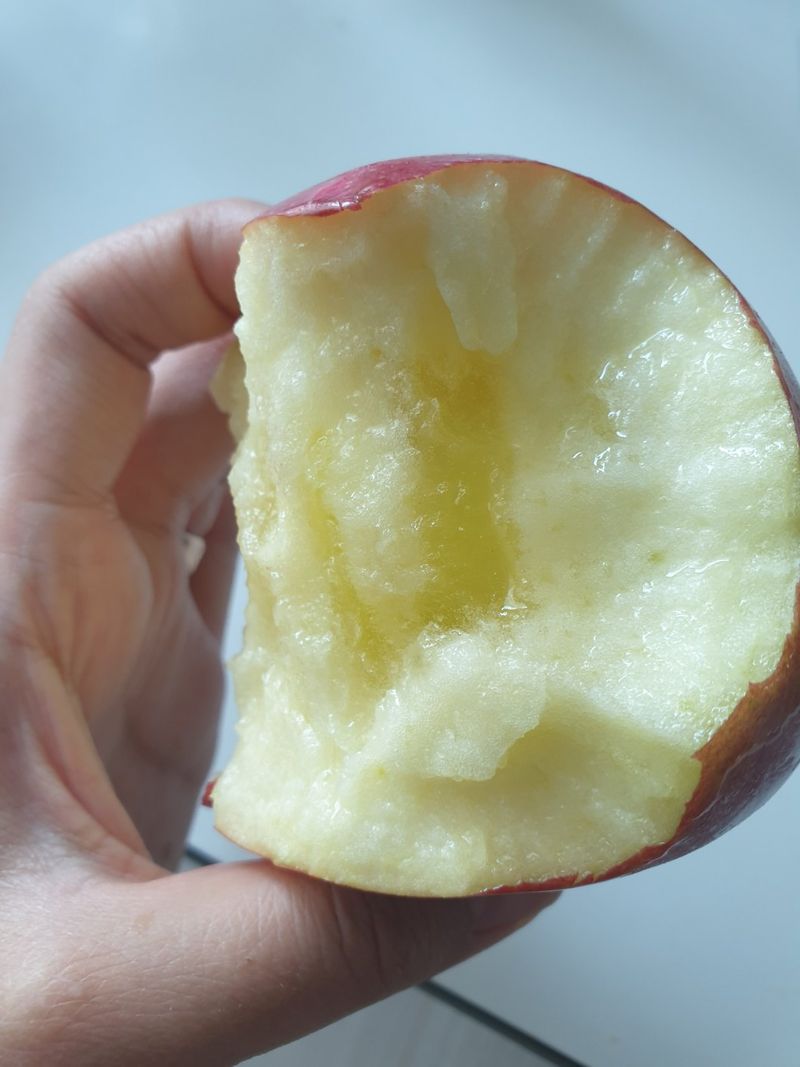 다나농원 이진우님의 장터 판매 상품 [농장직송 청송꿀 사과즙 저온착즙 생즙(1포120ml)50개 1박스] 첨부 사진