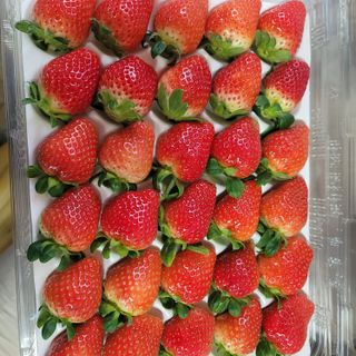 강미향님의 작성글 사진