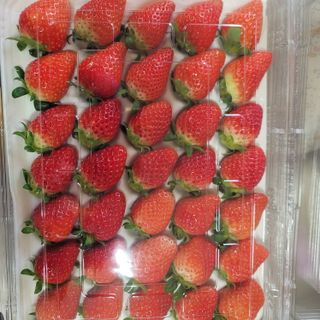 강미향님의 작성글 사진