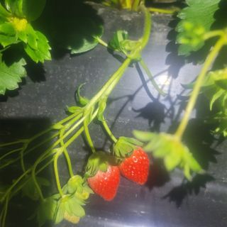 강미향님의 작성글 사진