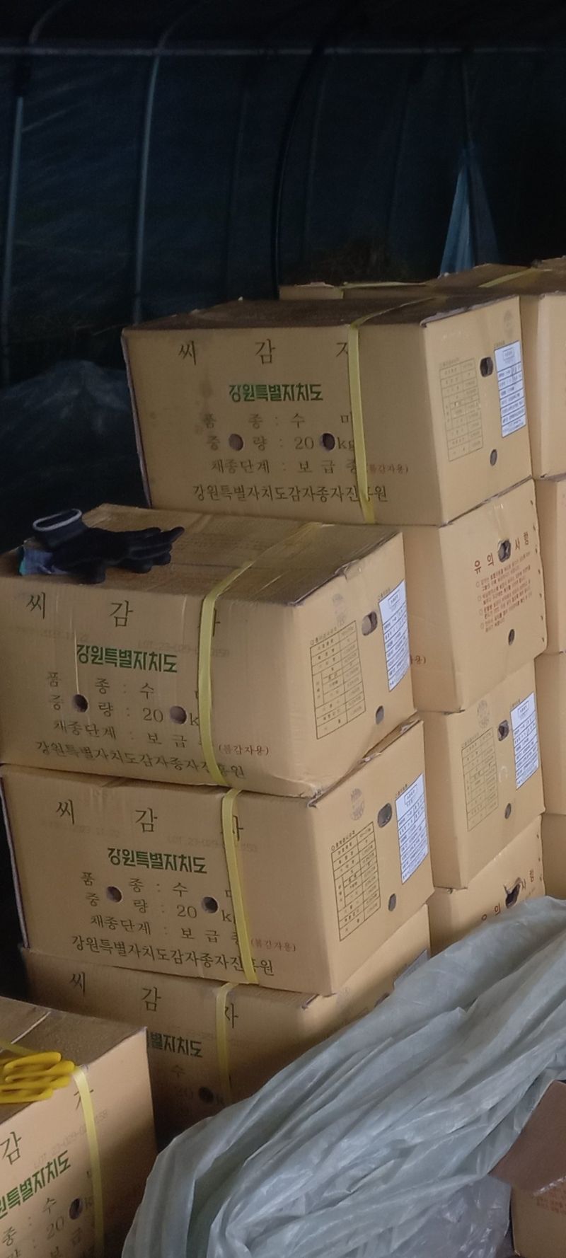 장터 상품 [수미감자 씨감자 20kg] 썸네일