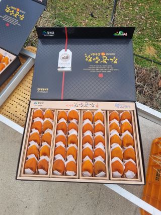 사과와곶감님의 1월 내 작물 자랑하기 · 참여글 작성글 사진