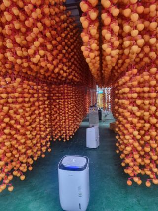 사과와곶감님의 1월 내 작물 자랑하기 · 참여글 작성글 사진