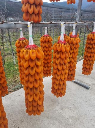 사과와곶감님의 1월 내 작물 자랑하기 · 참여글 작성글 사진