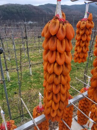 사과와곶감님의 1월 내 작물 자랑하기 · 참여글 작성글 사진