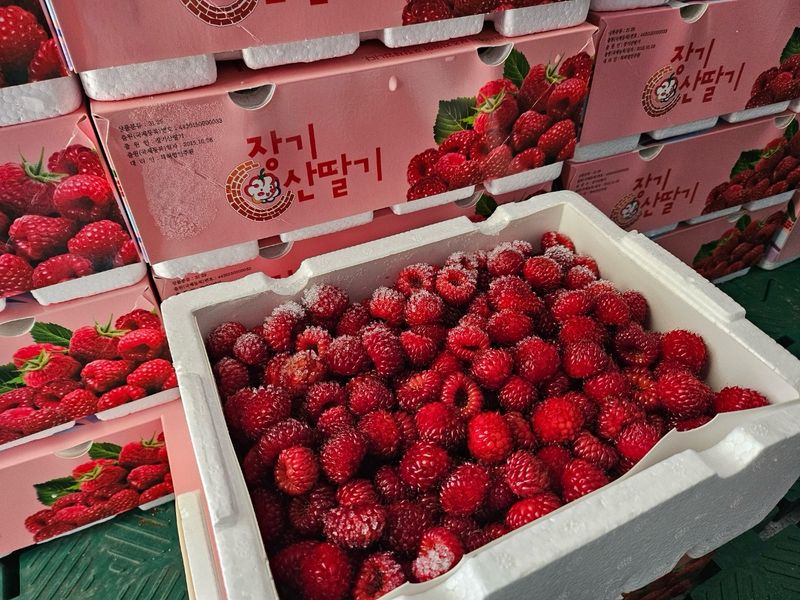 장터 상품 [포항 장기 산딸기 (흑딸기)1kg] 썸네일