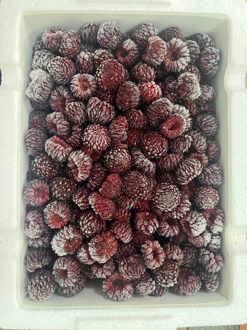 모어더더님의 장터 판매 상품 [포항 장기 산딸기 (흑딸기)1kg] 첨부 사진