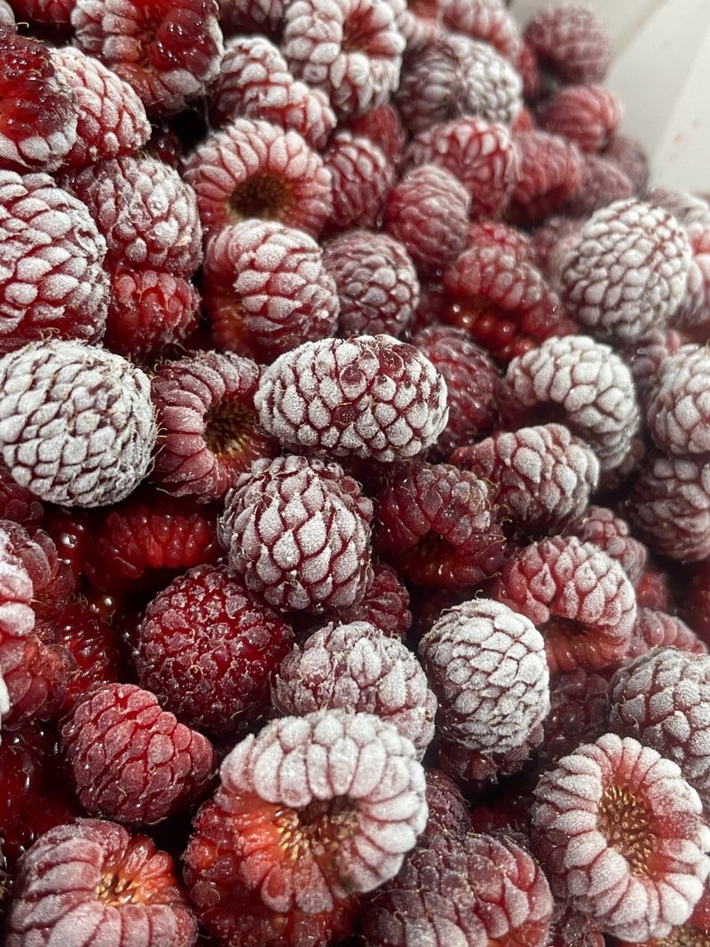 모어더더님의 장터 판매 상품 [포항 장기 산딸기 (흑딸기)1kg] 첨부 사진