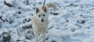 김태완님의 자유주제 · 사진전 작성글 사진