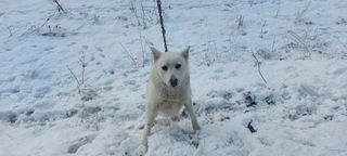 김태완님의 자유주제 · 사진전 작성글 사진