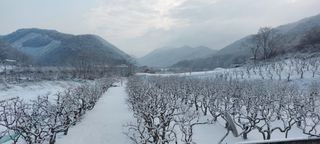 김태완님의 자유주제 · 사진전 작성글 사진