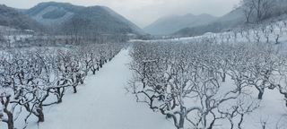 김태완님의 자유주제 · 사진전 작성글 사진