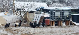 김태완님의 자유주제 · 사진전 작성글 사진