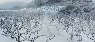 김태완님의 자유주제 · 사진전 작성글 사진