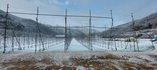 김태완님의 자유주제 · 사진전 작성글 사진