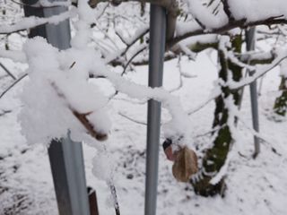 다나농원 이진우님의 사과 · 일상 작성글 사진