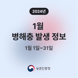 팜모닝 팜모닝공식·병해충발생정보 게시글 이미지