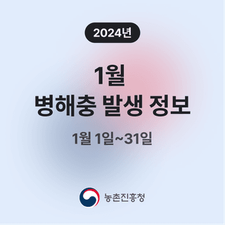 병해충발생정보님의 팜모닝공식 · 병해충발생정보 작성글 사진
