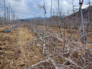 알 수 없음님의 자유주제 · 자유게시판 작성글 사진