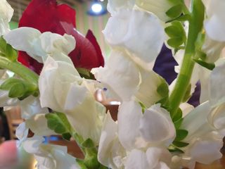 알 수 없음님의 1월 내 작물 자랑하기 · 참여글 작성글 사진