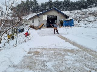 변광우님의 자유주제 · 자유게시판 작성글 사진