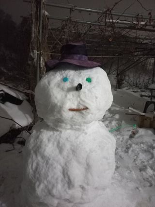 변광우님의 자유주제 · 자유게시판 작성글 사진