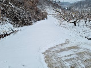 변광우님의 자유주제 · 자유게시판 작성글 사진
