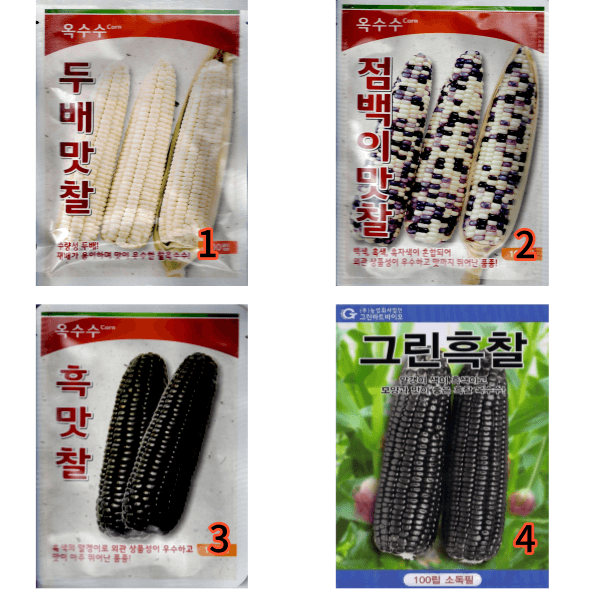 대산농사대장님의 장터 판매 상품 [옥수수씨앗  16종 모음전 ] 첨부 사진
