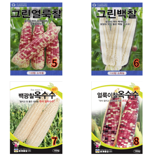 대산농사대장님의 장터 판매 상품 [옥수수씨앗  16종 모음전 ] 첨부 사진