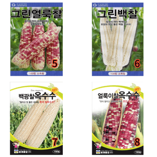 대산농사대장님의 작성글 사진