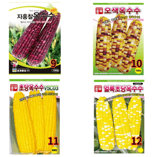 대산농사대장님의 작성글 사진