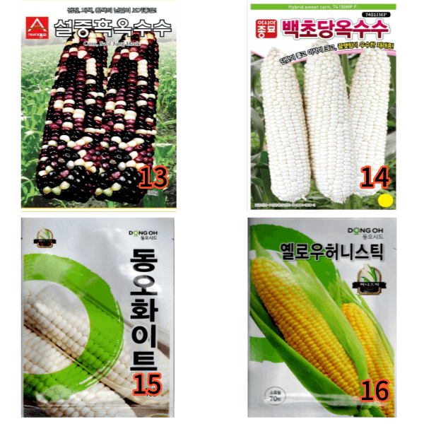 대산농사대장님의 장터 판매 상품 [옥수수씨앗  16종 모음전 ] 첨부 사진