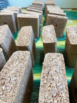 이재운님의 작성글 사진