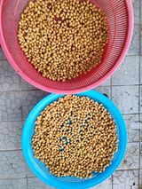 팜모닝 1월 내 작물 자랑하기·참여글 게시글 이미지