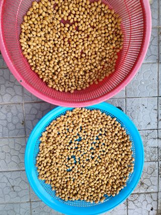 노아마님의 1월 내 작물 자랑하기 · 참여글 작성글 사진