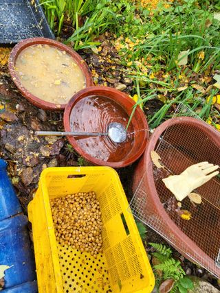 노아마님의 1월 내 작물 자랑하기 · 참여글 작성글 사진